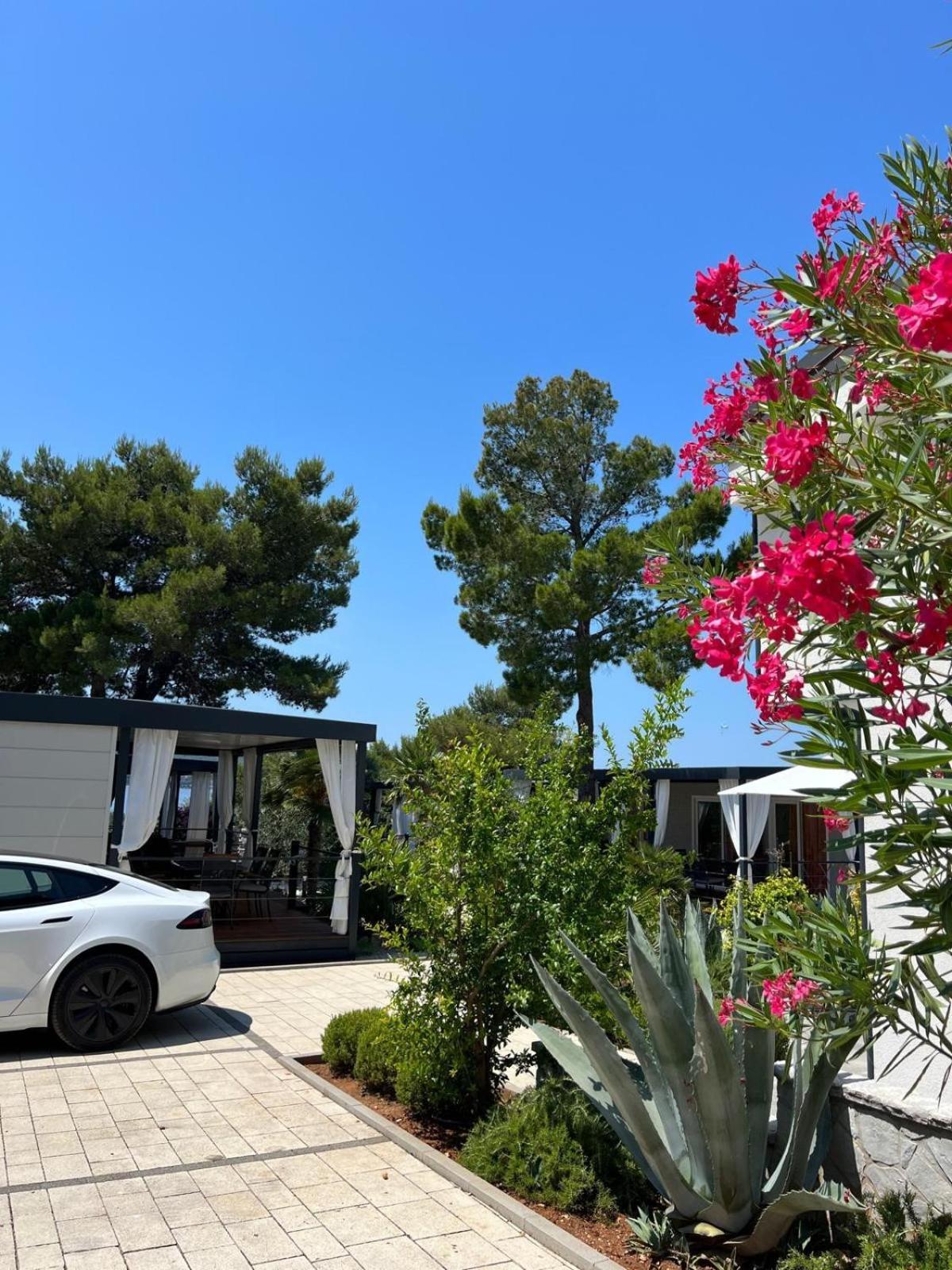Dalmaris Camp - Prestige Mobile Homes Biograd Na Moru Bagian luar foto
